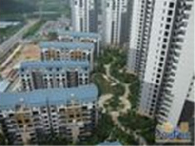 東莞珠佳房地產(chǎn) 專業(yè)房地產(chǎn)代理服務(wù)，助力投資與登記無憂