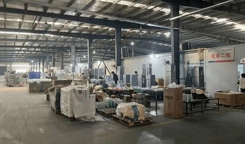 95后小宇宙的能量 做傳統(tǒng)小家電一年銷售近百萬美金